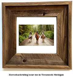 horseback riding near me in Tecumseh, Michigan